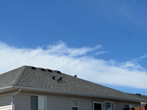 Best Gutter Installation and Repair  in Springfield, OR